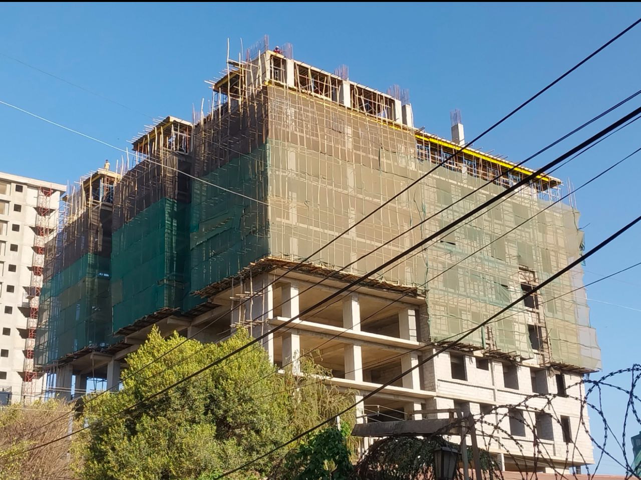 photo_2024-12-21_19-12-22